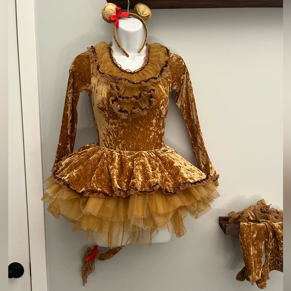 Revolution lion dance costume